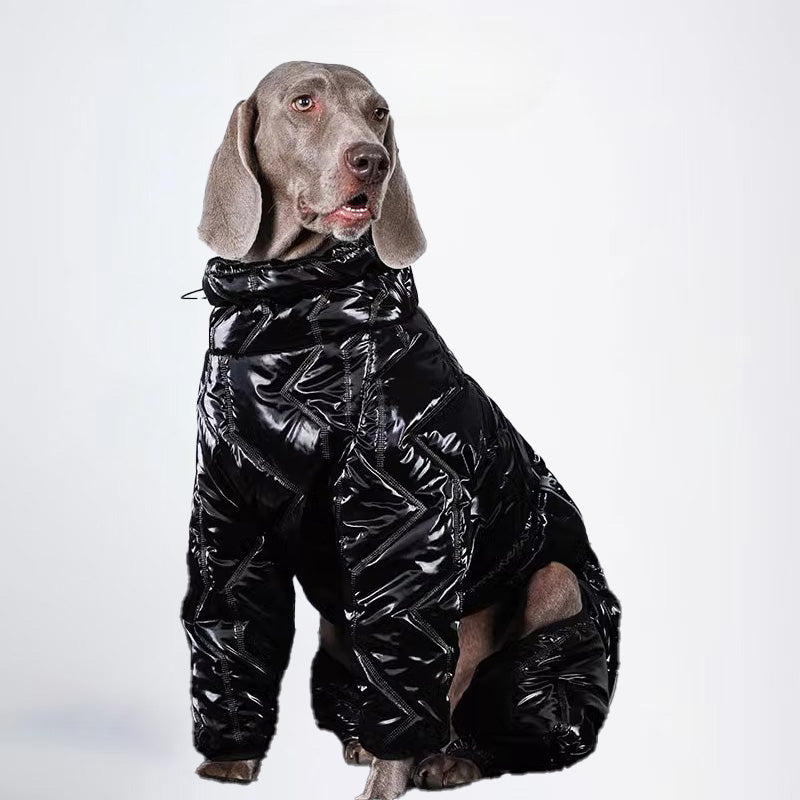 Dogs Clothes Pets Clothes For Winter Allcovered Styled Sweater Styled Deisign Fashion Designer Dogs Clothes