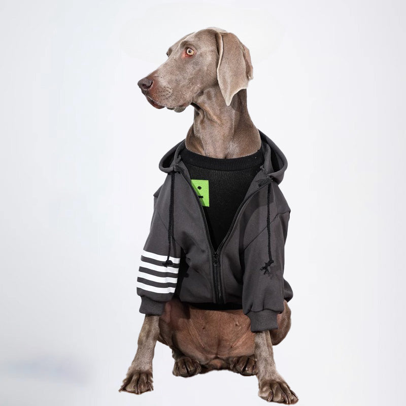 Dogs Clothes Pets Clothes Dogs Hooded Sweater Cardigan Sweater Gray Sweater Winter Dogs Hoddies Color All Covered Styled Deisign Fashion Designer Dogs Clothes