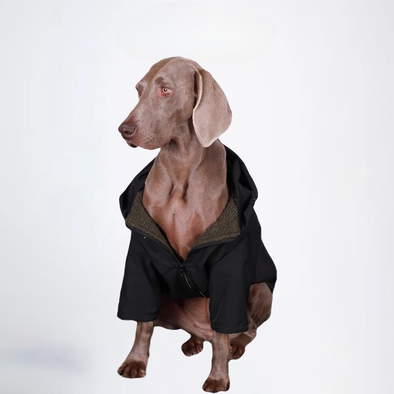 Dogs Clothes Pets Clothes Glossy Styled For Winter Allcovered Styled Sweater Styled Deisign Fashion Designer Dogs Clothes