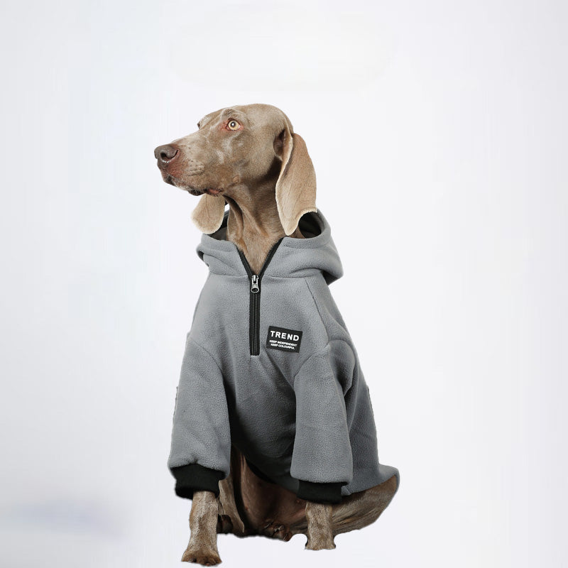 Dogs Green Clothes Pets Green Clothes Dogs Sweater Glossy Styled For Winter Allcovered Styled Sweater Styled Deisign Fashion Designer Dogs Clothes