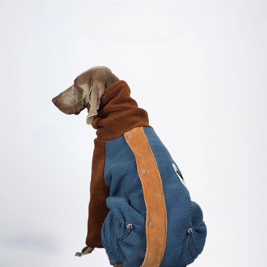 Dogs Clothes Pets Clothes Dogs Jacket Sweater Brown Sweater Winter Dogs Jackets Color All Covered Styled Deisign Fashion Designer Dogs Clothes
